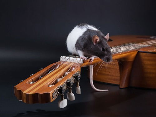 Мария Кальянова