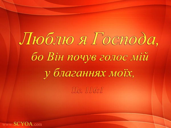 Саша Фандюшкин