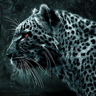 Виталик Глоба