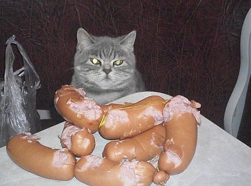 Николай Верховец