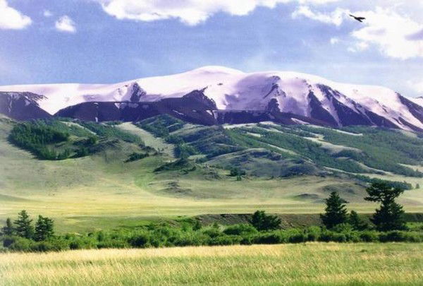 Управлениетруда Монгун-Тайга