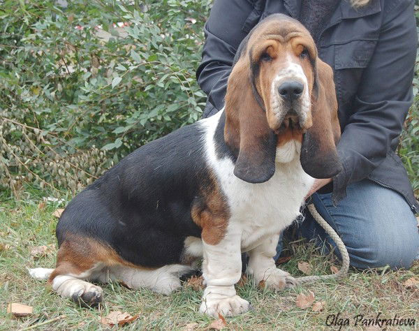 Наталья Станишевская