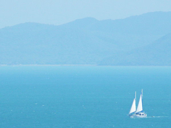 Дима Петковский