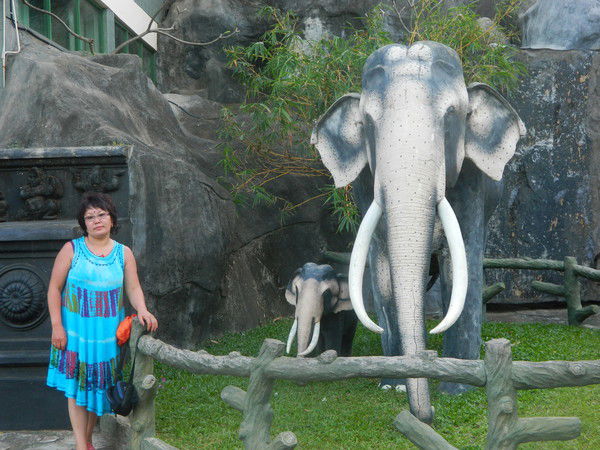 Dolzhin Chimitdorzhieva