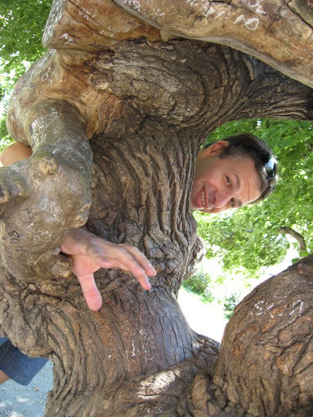 Владимир Крушинский