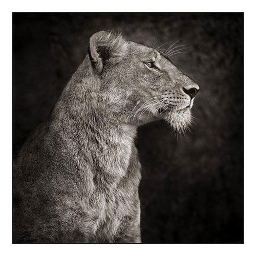 Оксана Ивахницкая