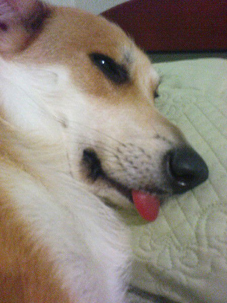 Наталия Саркисова