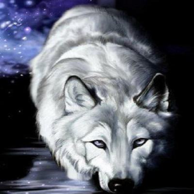 Артём Плотников 50К