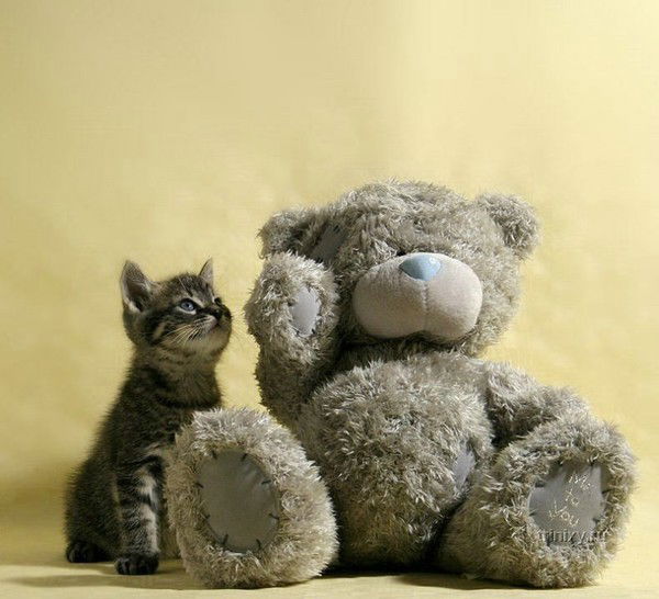 Надежда Ковалева