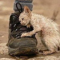 Виктория Маломужева