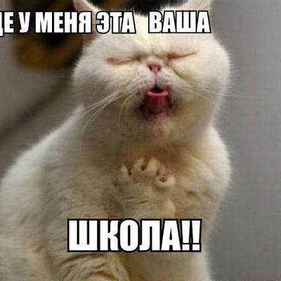 Юлия Дегтярёва