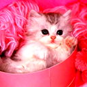 Юлия Котова
