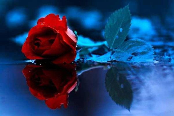 Liliya Muhametzyanova