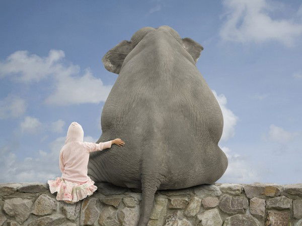 Жкп Гродножилстрой