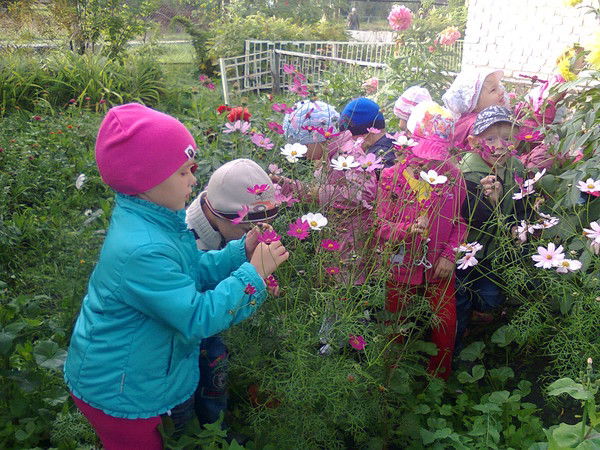 Мдоу № 9 Канашевский Детский Сад Золотой Ключик