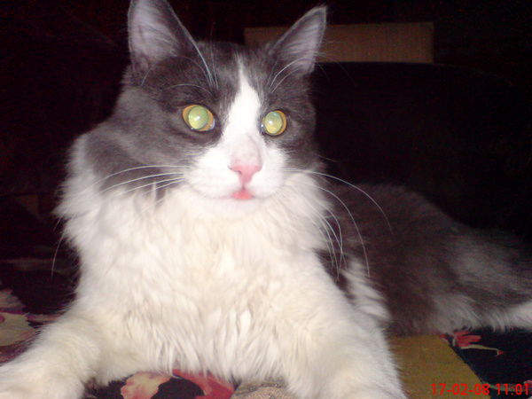 Михаил Костюков