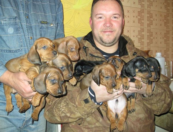 Евгений Козлов