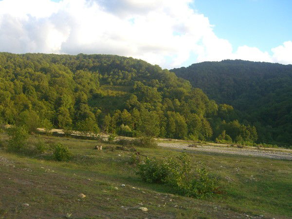 Михаил Ткачев