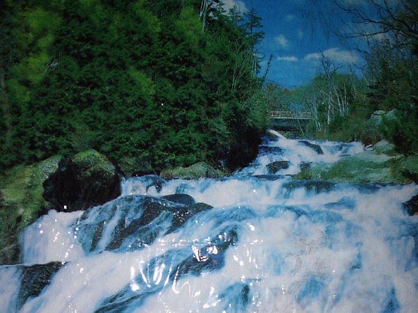 Александр Чемерзин