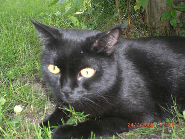 Нина Максимова