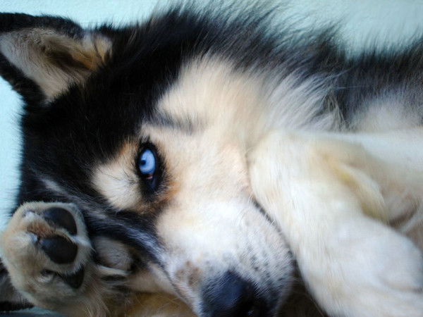 Александр Сергеевич