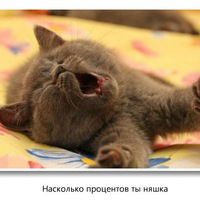 Семен Артемов