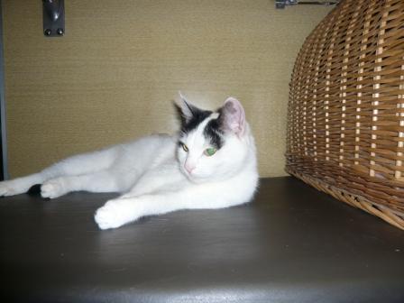 Юлия Кислинская