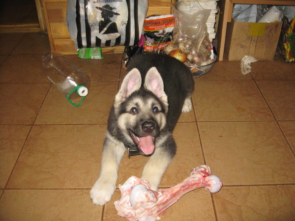 Игорь Косачев