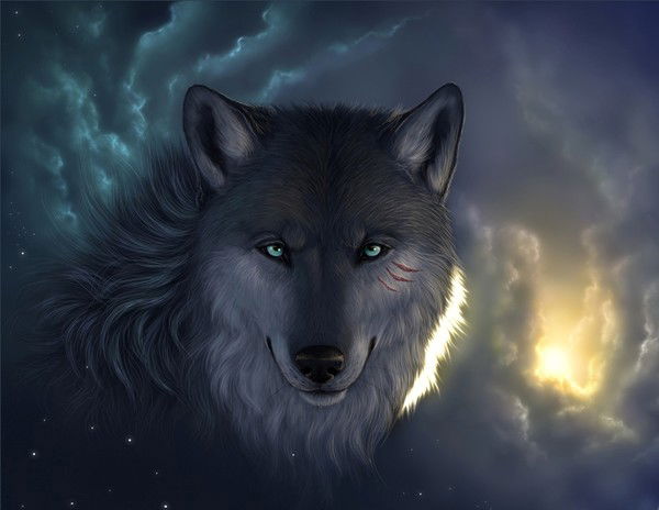 Dan4Ik Кулешов