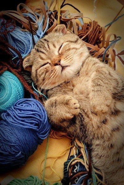 Катеринка Миронович