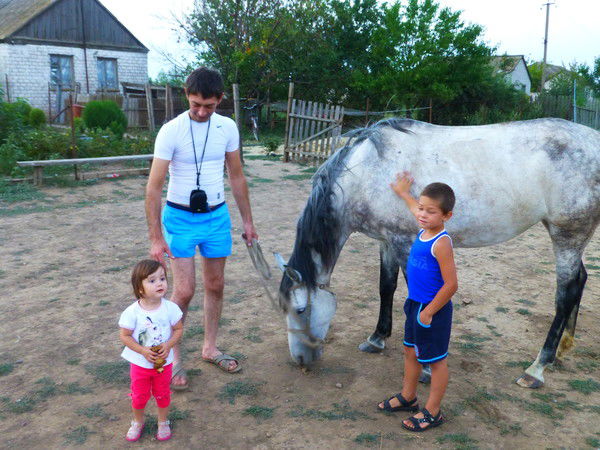 Александр Гринько