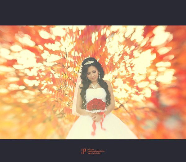 ******* *******дана*******