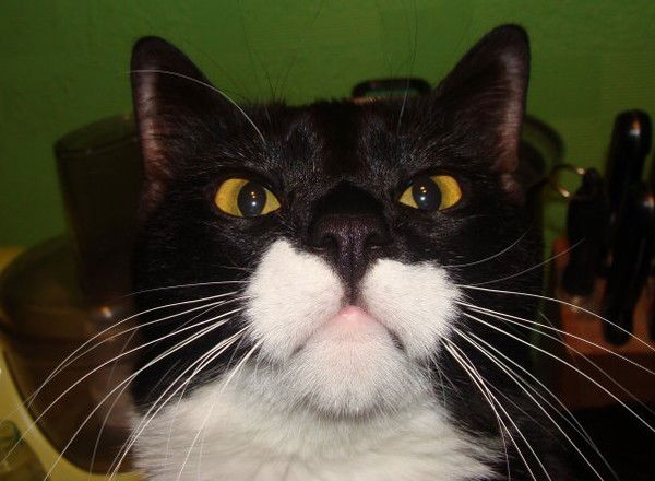 Андрей Безручко