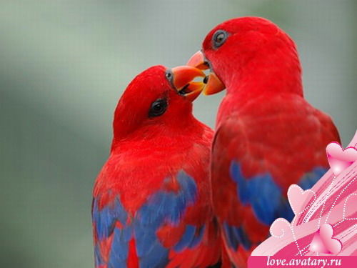 Кристина Иванова