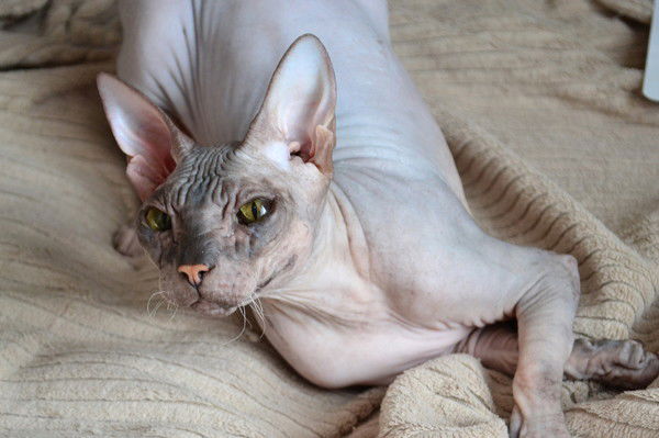 Екатерина Фокина