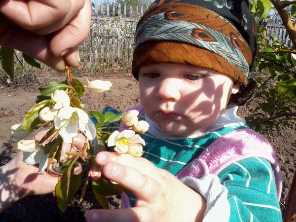 Надежда Макаренко