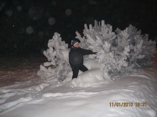 Регина Румянцева