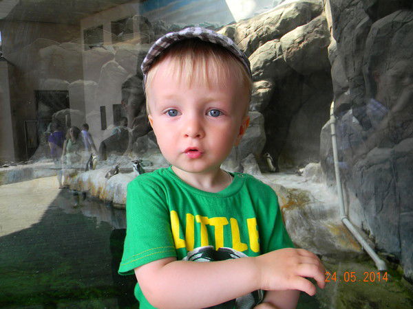 Сергей Брулев