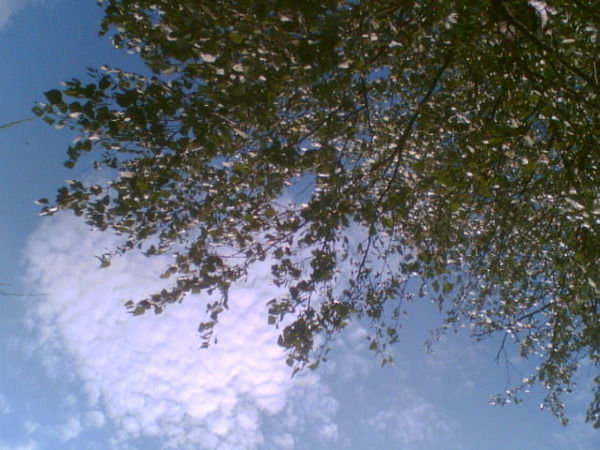 Аня Першина