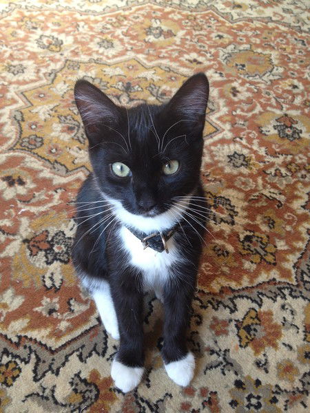 Галина Артамонова