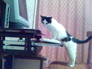 Танюшка,танечка Татьяна