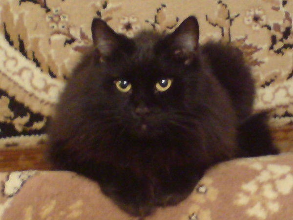 _Геннадий -Ковчун