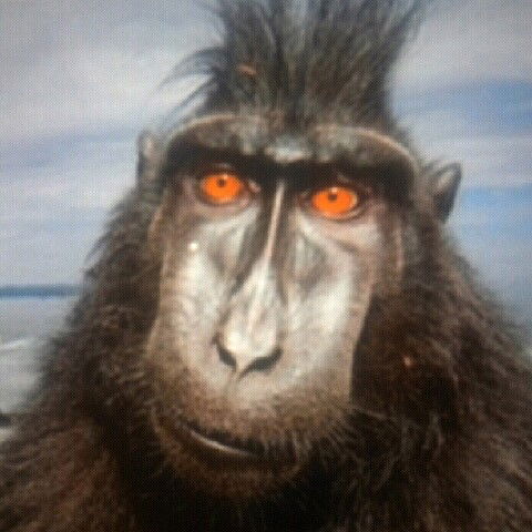 Валерий Беляев