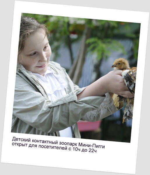 Зоопарк Мини-Пиги