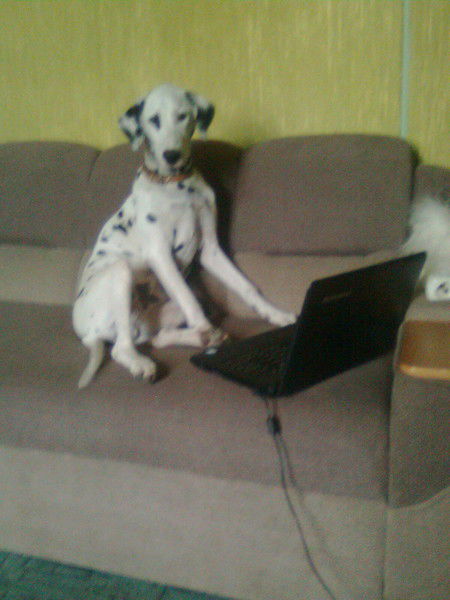 Виктор Рудько