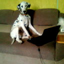 Виктор Рудько