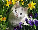 Татьяна Шамахова