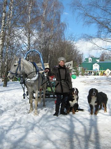 Александр Закутний