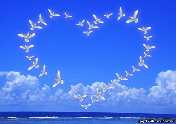 Самля Керимова