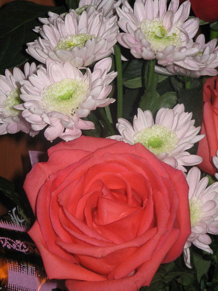 Екатерина Гребенчукова